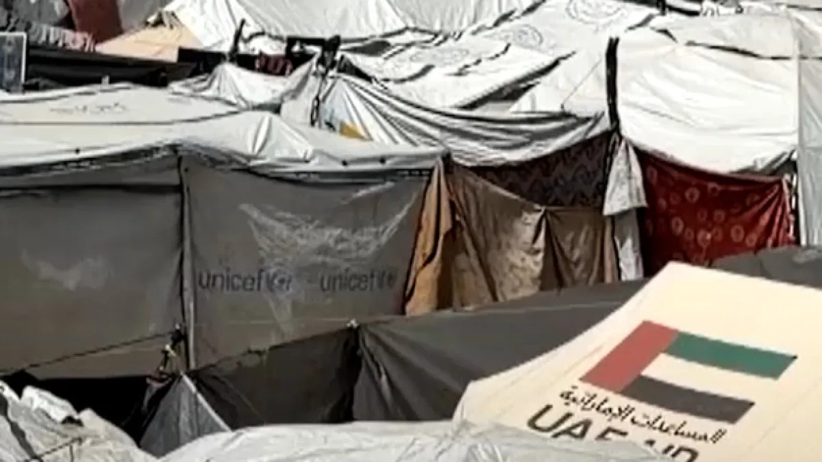 Infestările cu rozătoare și atacurile acestora se răspândesc în taberele de corturi din Gaza