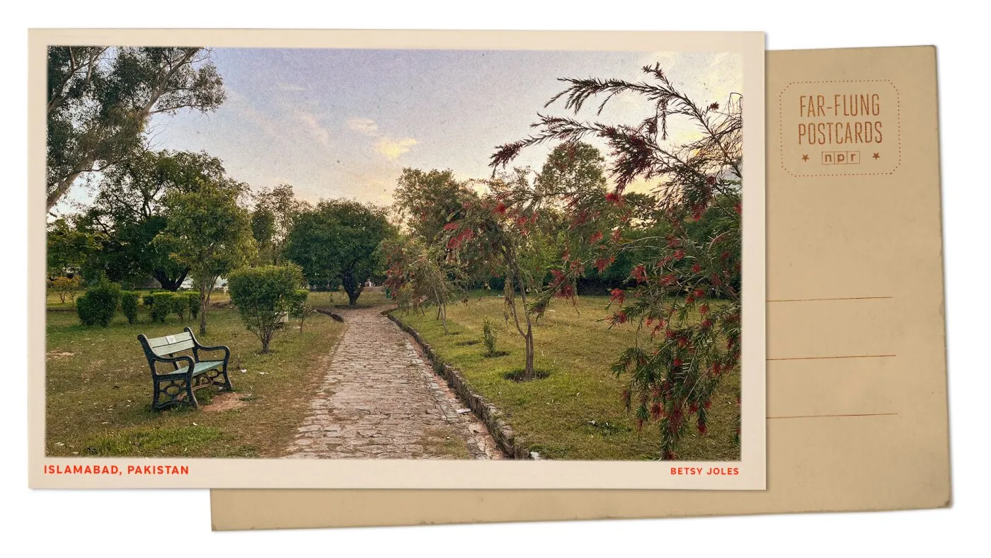 Salutări dintr-un parc din Islamabad: un punct de vedere liniștit într-o lume incertă