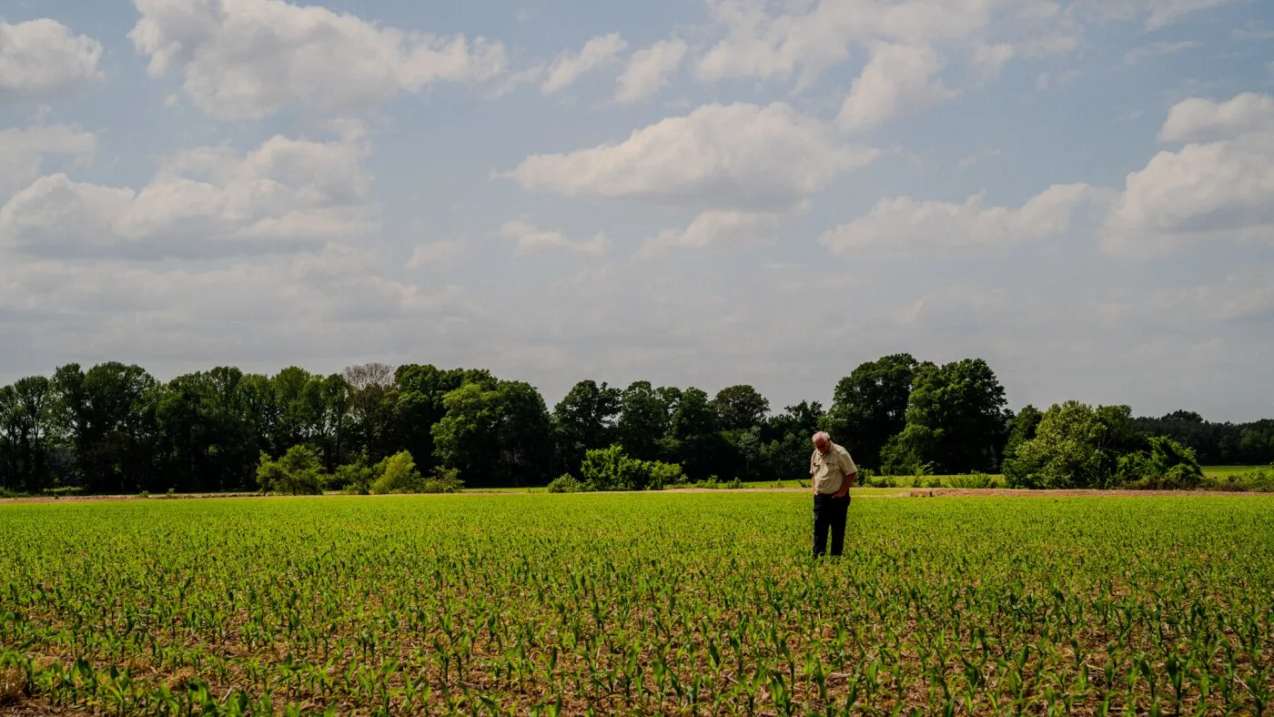 Cresterea costurilor de îngrășământ și combustibil duce agricultorii din Delta la limita de rezistență