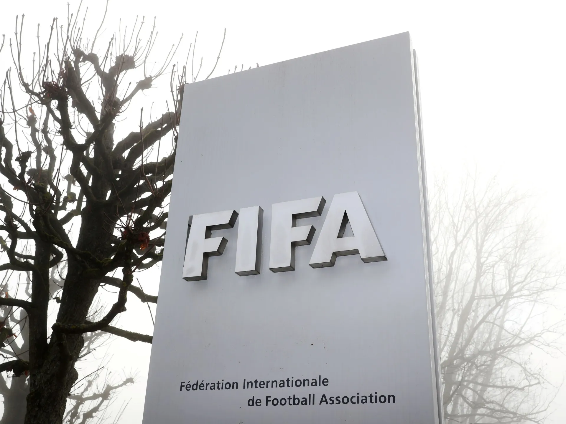 FIFA exclude un arbitru de la Cupa Mondială după arestarea sa în Marea Britanie pentru presupusă agresiune sexuală