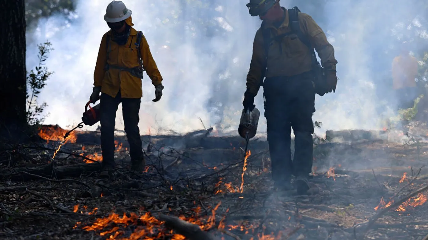 Administrația Trump rămâne în urmă cu prevenirea incendiilor de pădure, în timp ce se apropie un sezon periculos