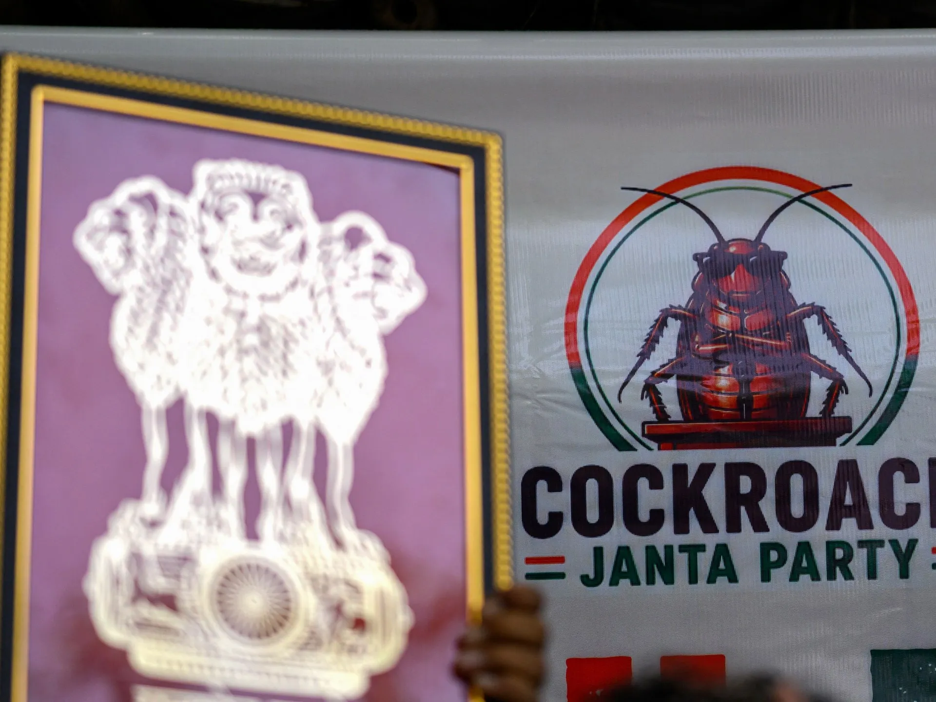 Protestul „Partidului Gândacilor” în New Delhi: O mișcare satirică a tinerilor indieni care sfidează sistemul