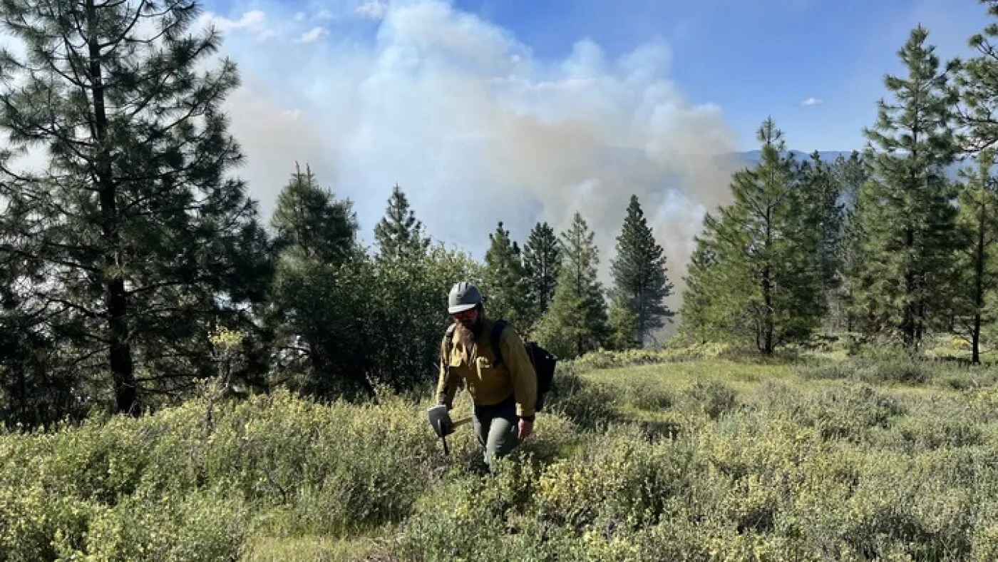 Incendii devastatoare în Vest: Serviciul Forestier al lui Trump spune că este complet angajat, dar experții sunt sceptici