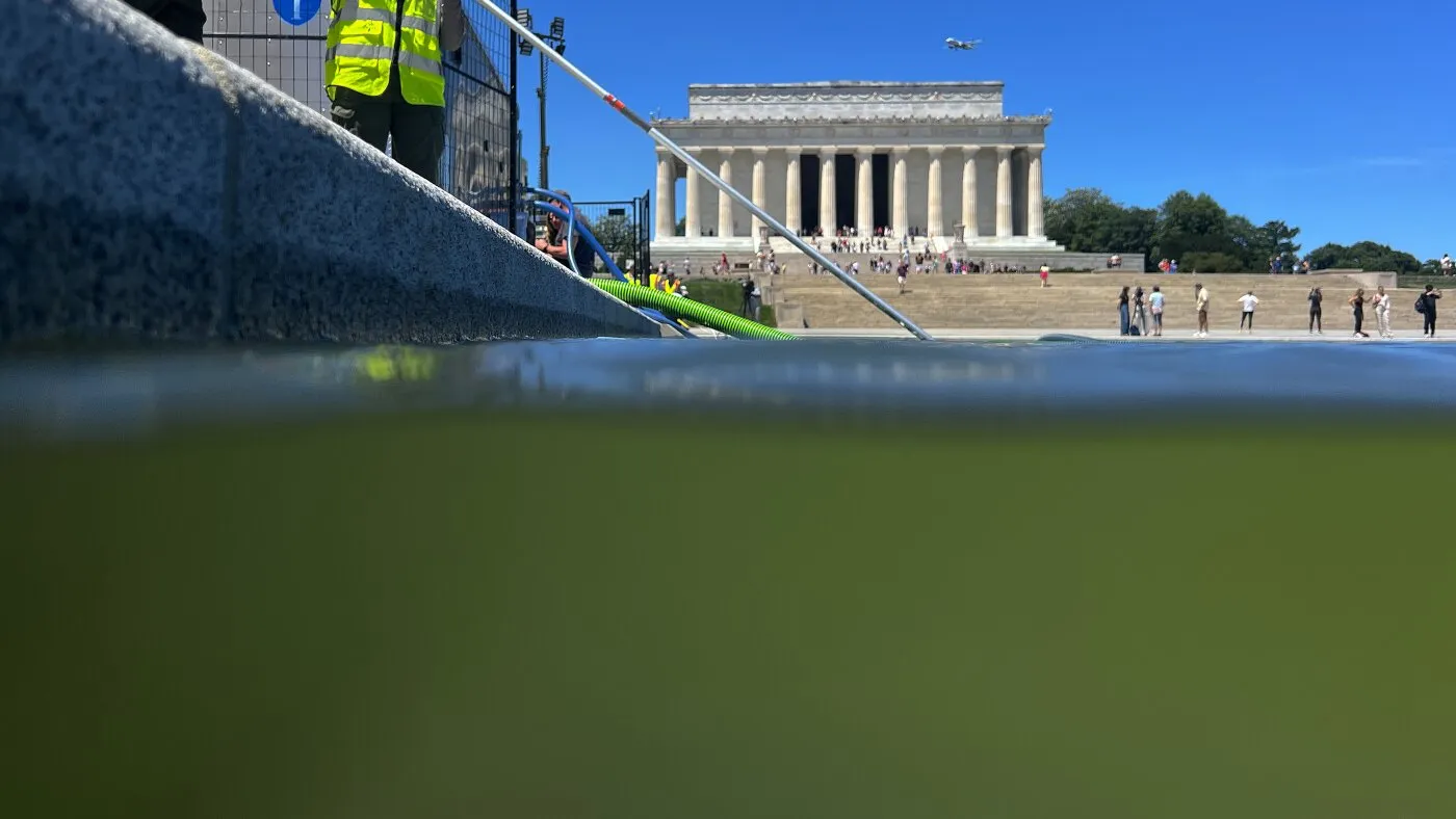 Cum și de ce algele au întunecat viziunea lui Trump pentru un „albastru de steag american” la Reflecting Pool