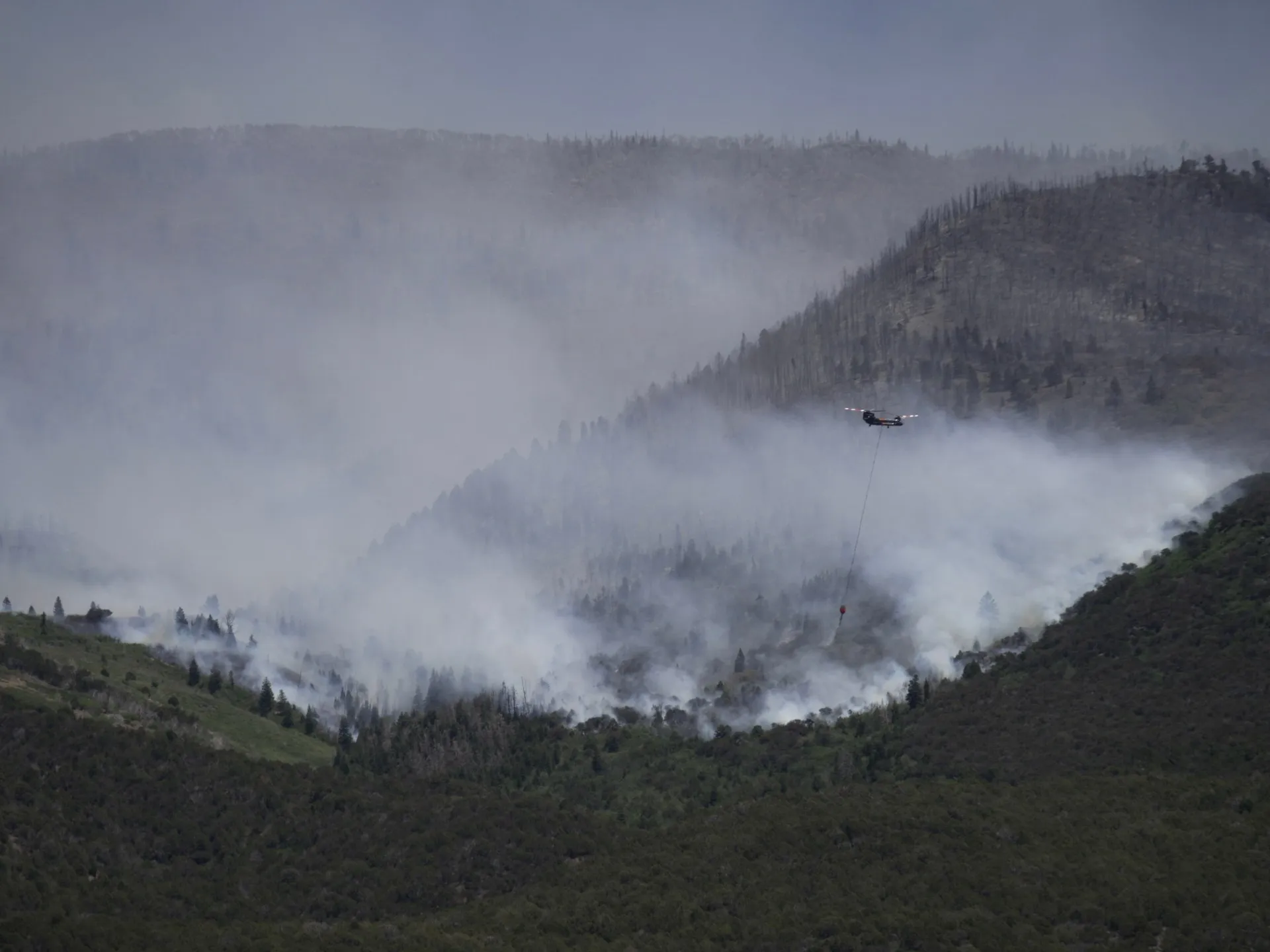 Trei pompieri uciși în incendiile de vegetație din SUA, la granița dintre Colorado și Utah