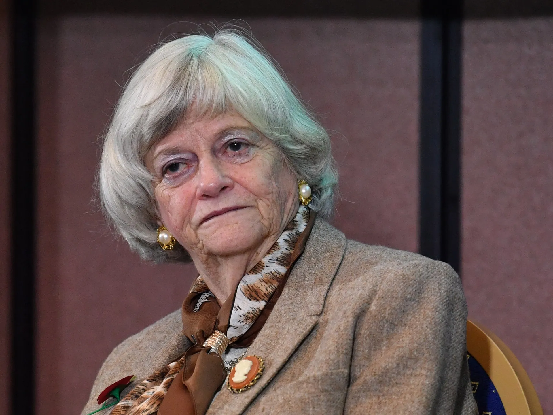 Poliția britanică eliberează suspectul în cazul crimei fostei deputate Ann Widdecombe