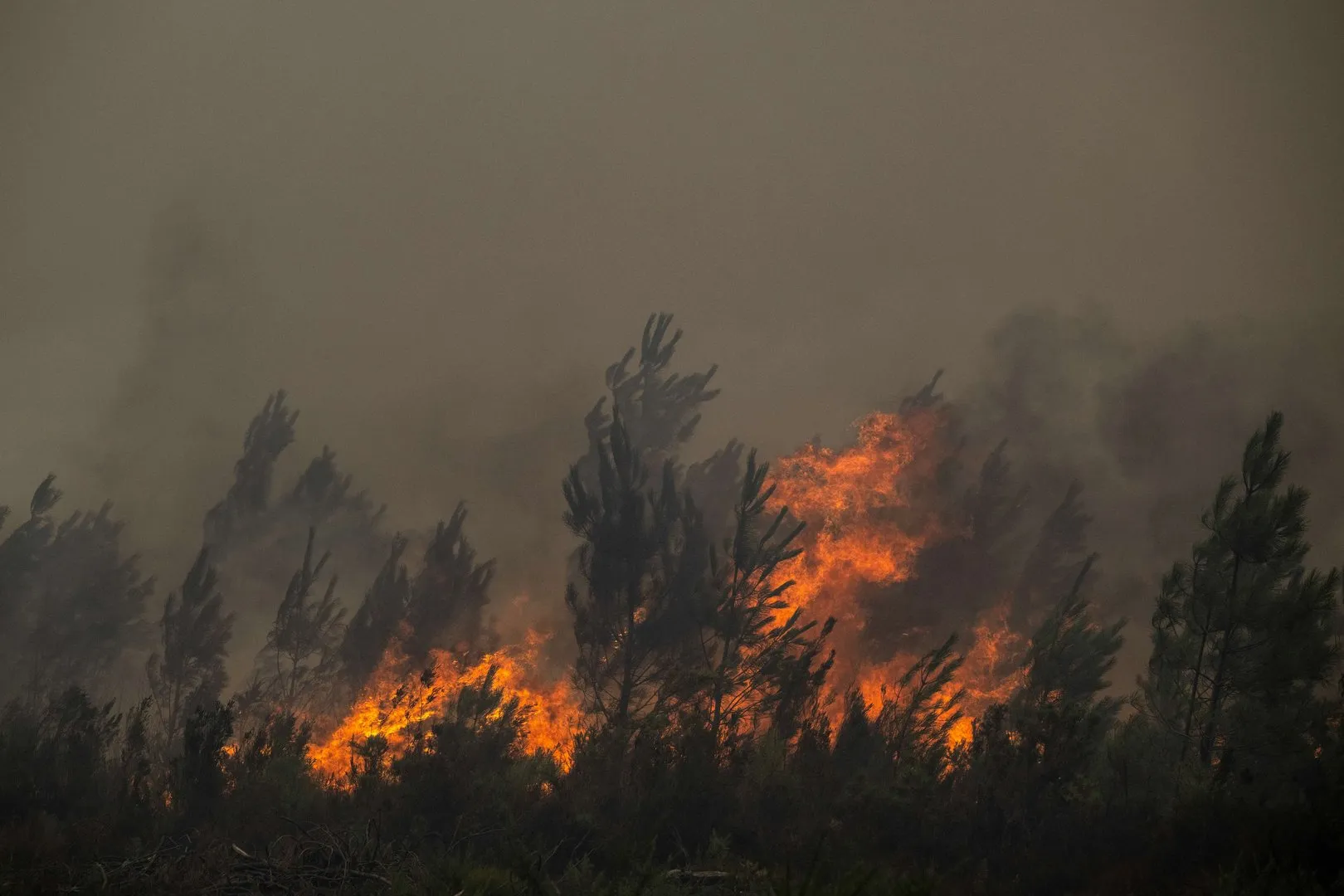 Incendii de proporții în Franța: evacuări masive în jurul orașului Bordeaux
