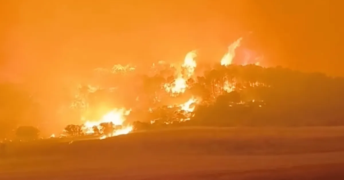 Valul de căldură extremă provoacă incendii de proporții în Africa de Nord