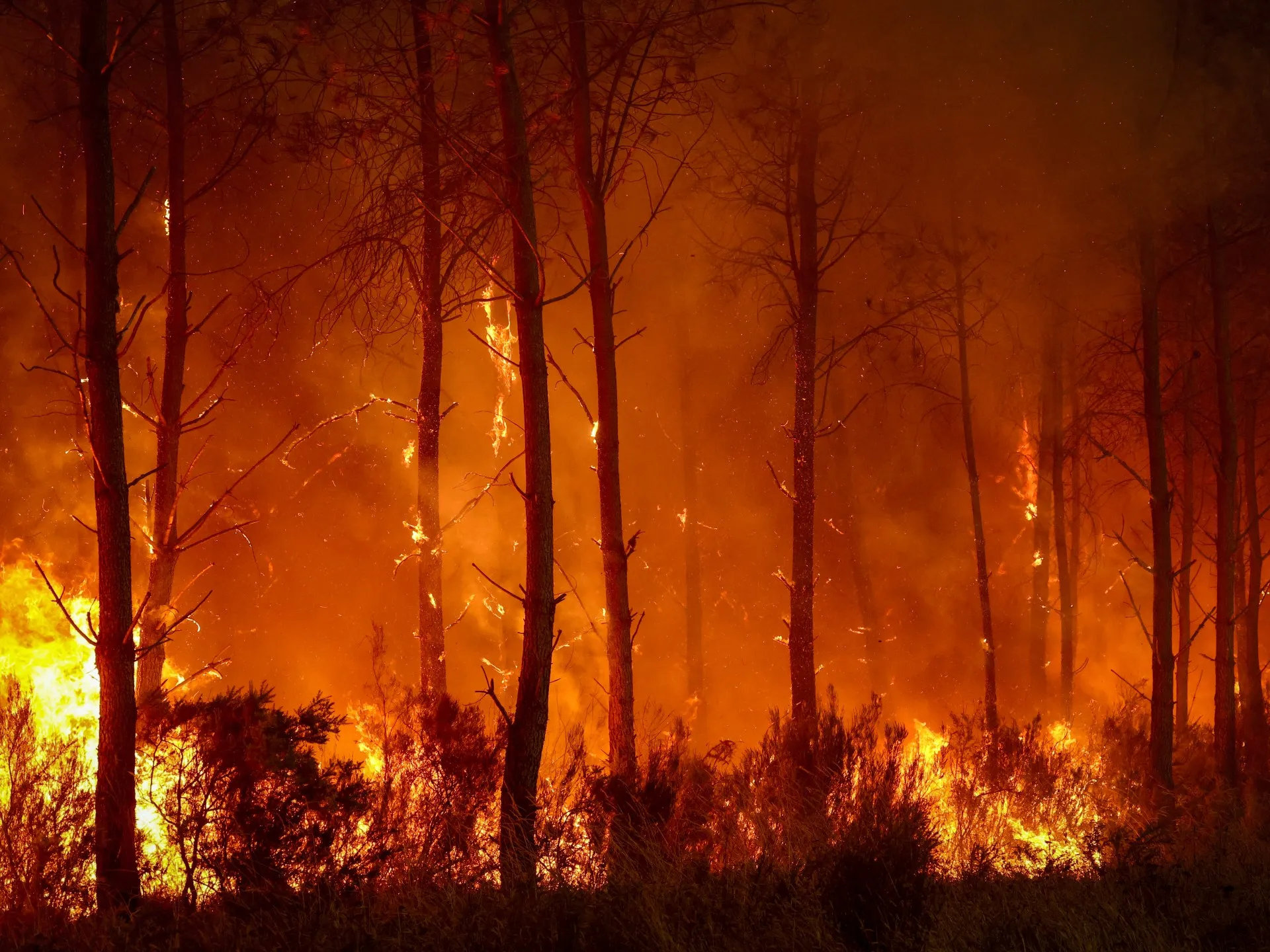 Franța și Spania se luptă cu incendii „monstruoase” în timp ce un nou val de căldură amenință