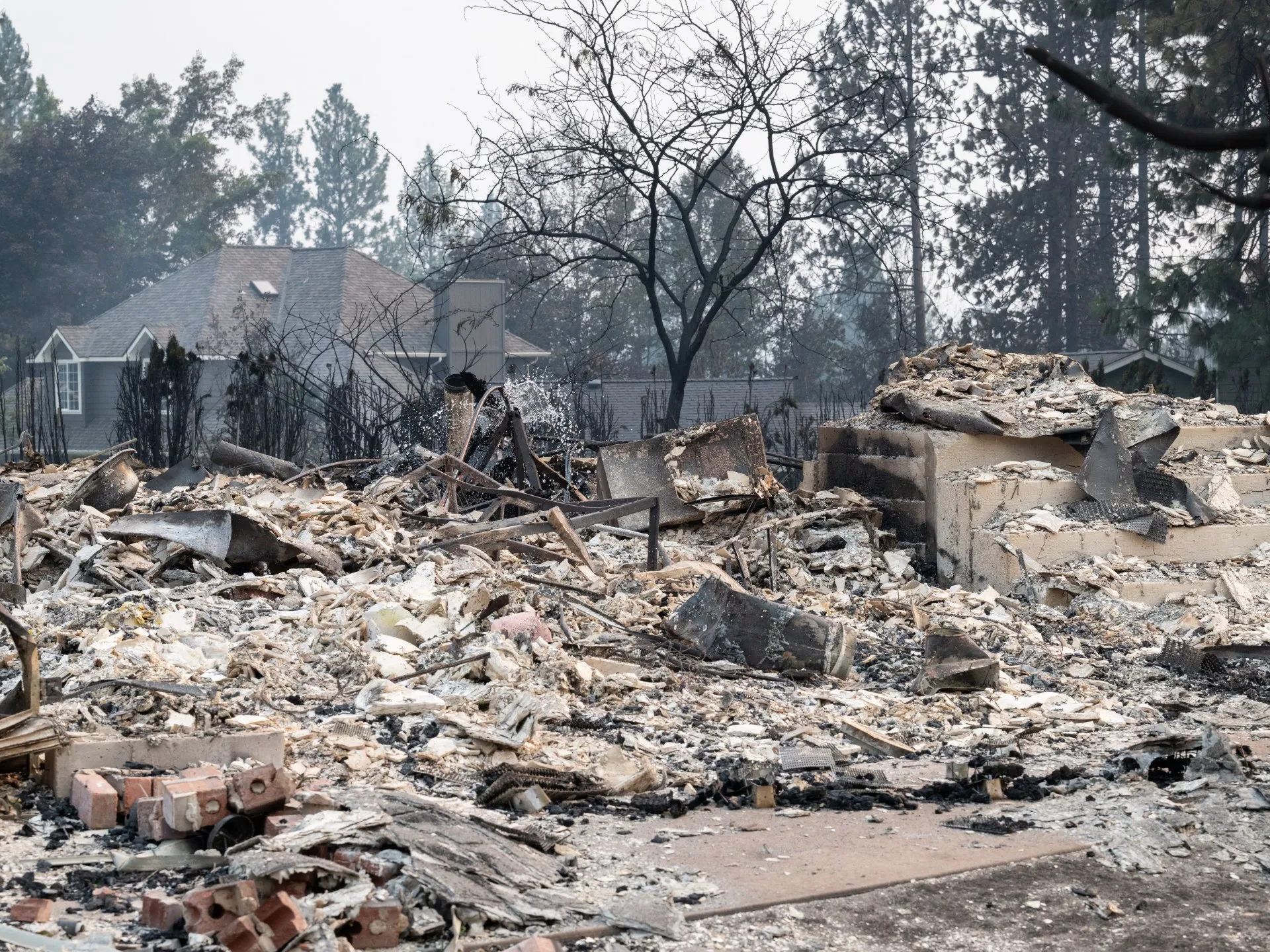 Incendii devastatoare în statul Washington: un bărbat arestat pentru incendiere, zeci de mii de oameni evacuați