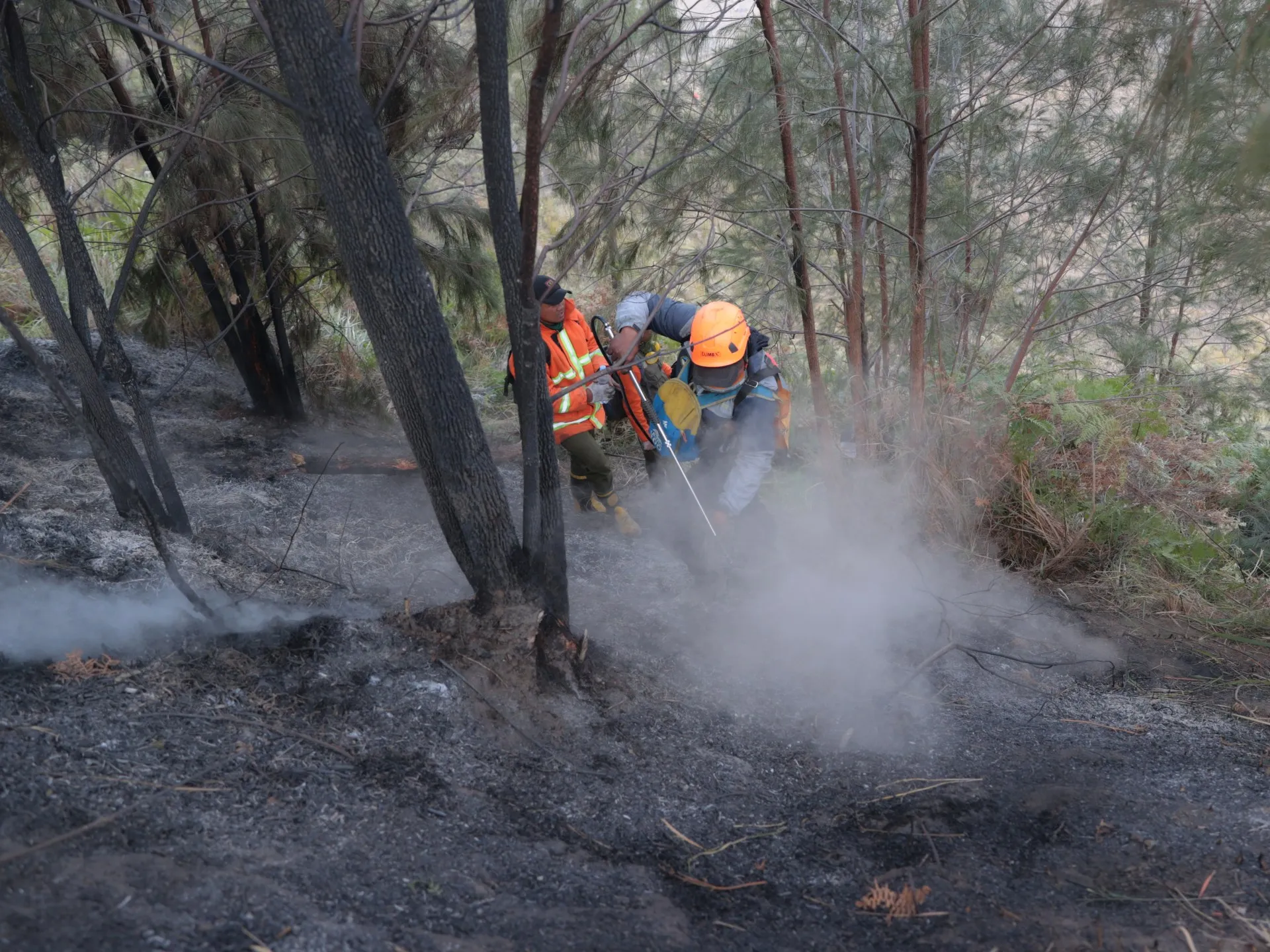 Indonezia trimite 1.500 de soldați suplimentari în Borneo pentru a combate incendiile de vegetație