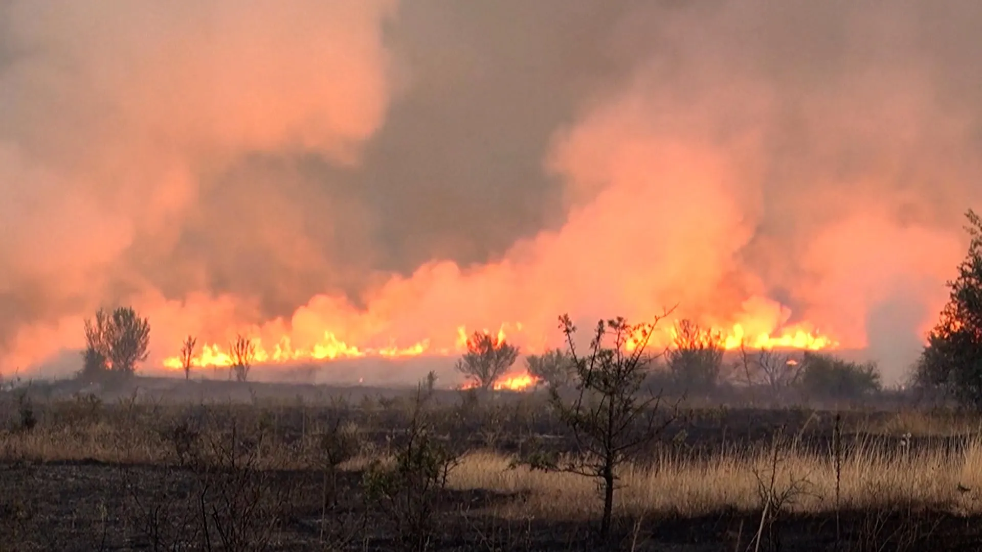 Serbia cere ajutor internațional pentru a stinge incendiile de vegetație care mistuie Balcanii