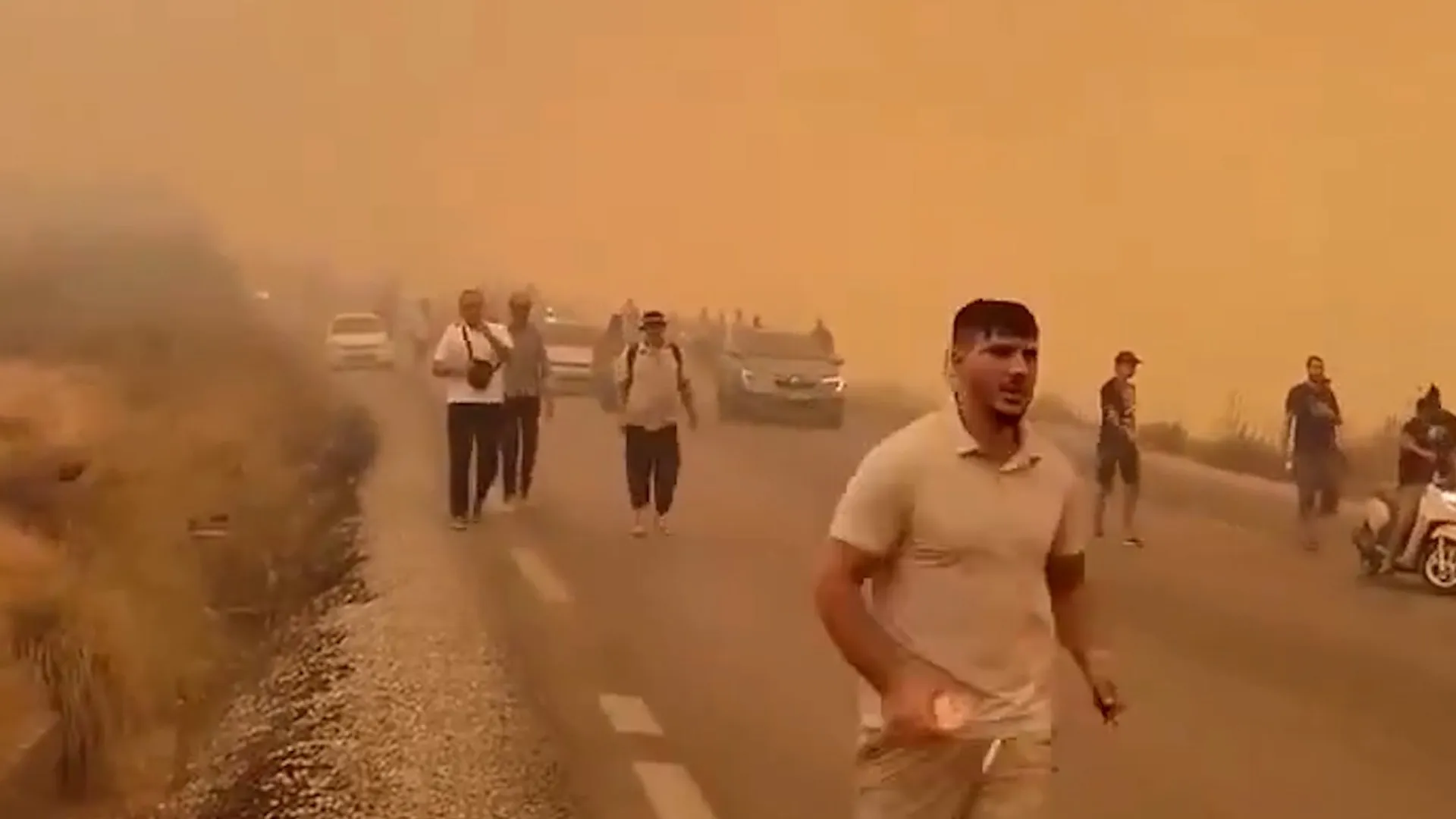 Douăsprezece morți și peste 150 de incendii de vegetație în nord-estul Algeriei: o criză care se agravează