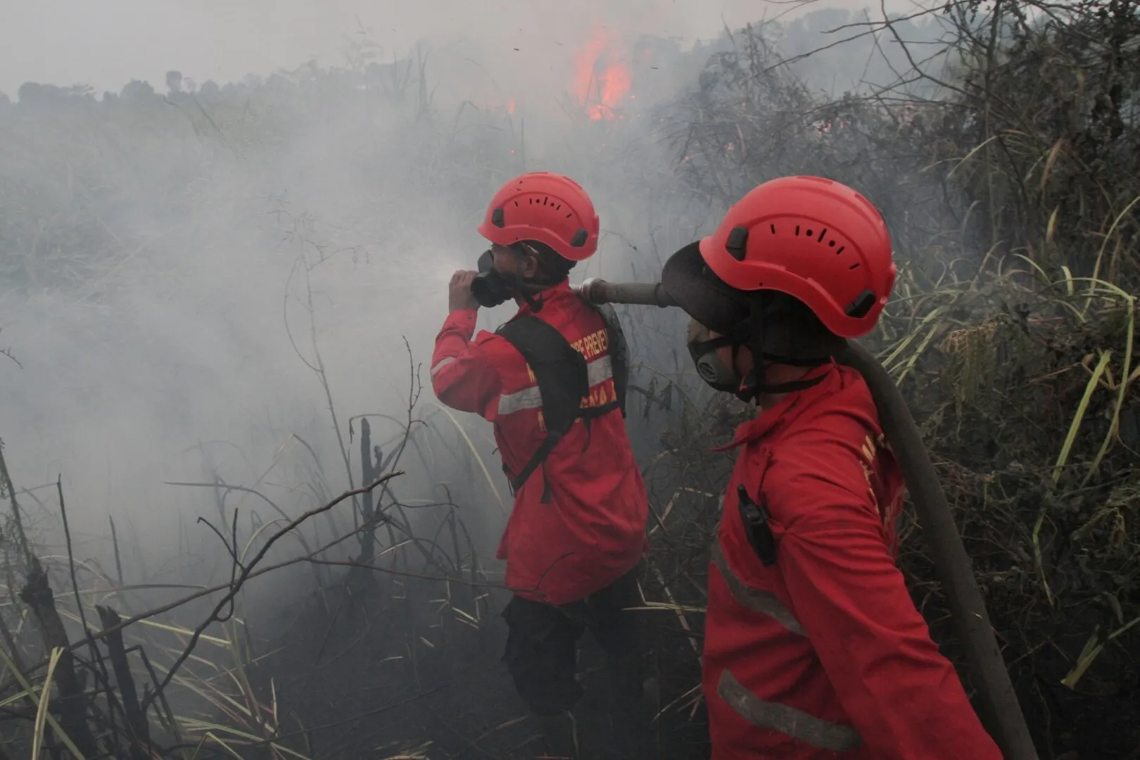 Incendiile de pe insula Borneo transformă aerul într-o otravă: locuitorii se luptă să respire