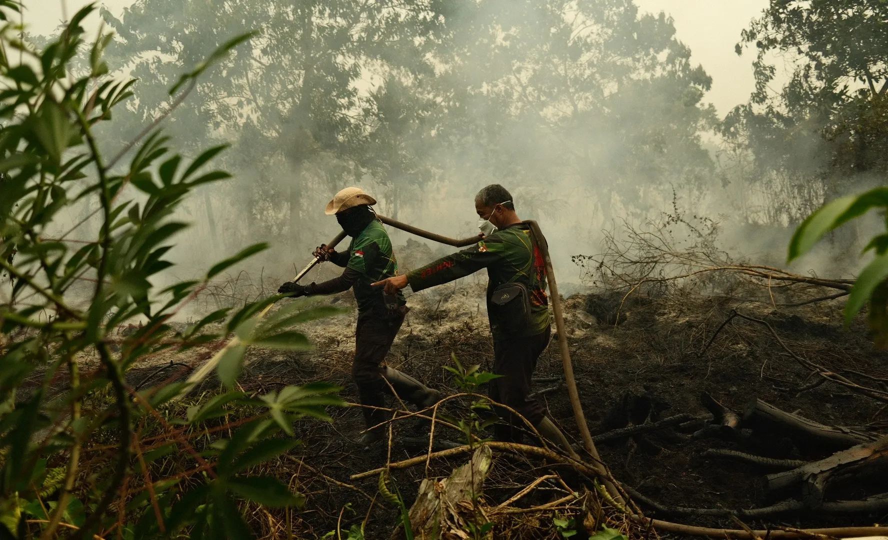 Incendiile din Indonezia: „Totul este acoperit de cenușă” – oamenii trăiesc o criză fără precedent