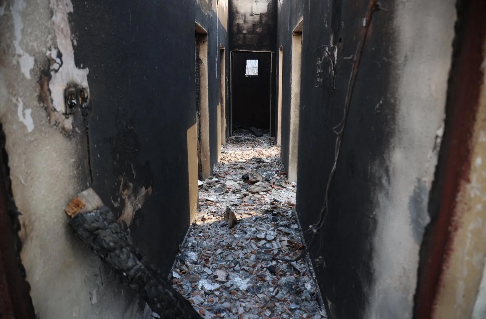 Incendiile devastatoare din Algeria: bilanțul morților ar putea crește, iar supraviețuitorii spun că „nu a mai rămas nimic”