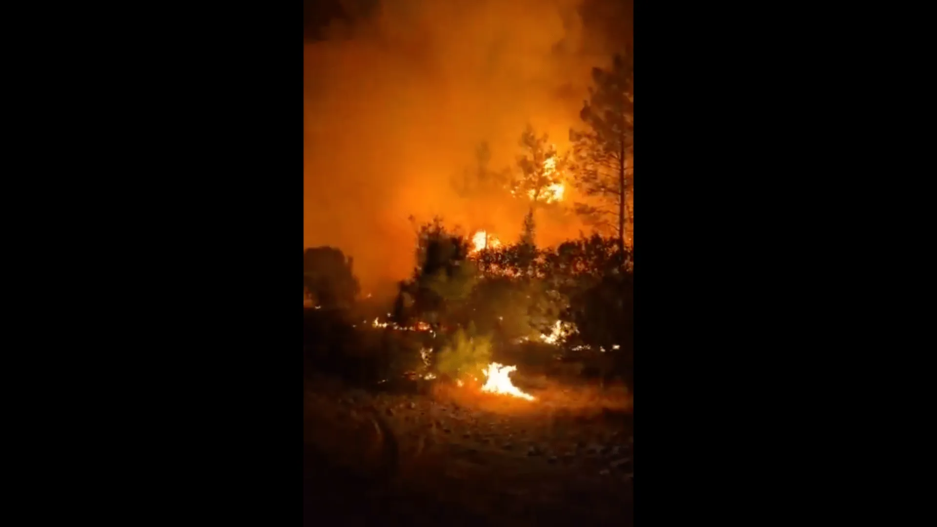 Incendii de pădure devastatoare în Antalya: evacuări de urgență în apropierea stațiunilor turistice