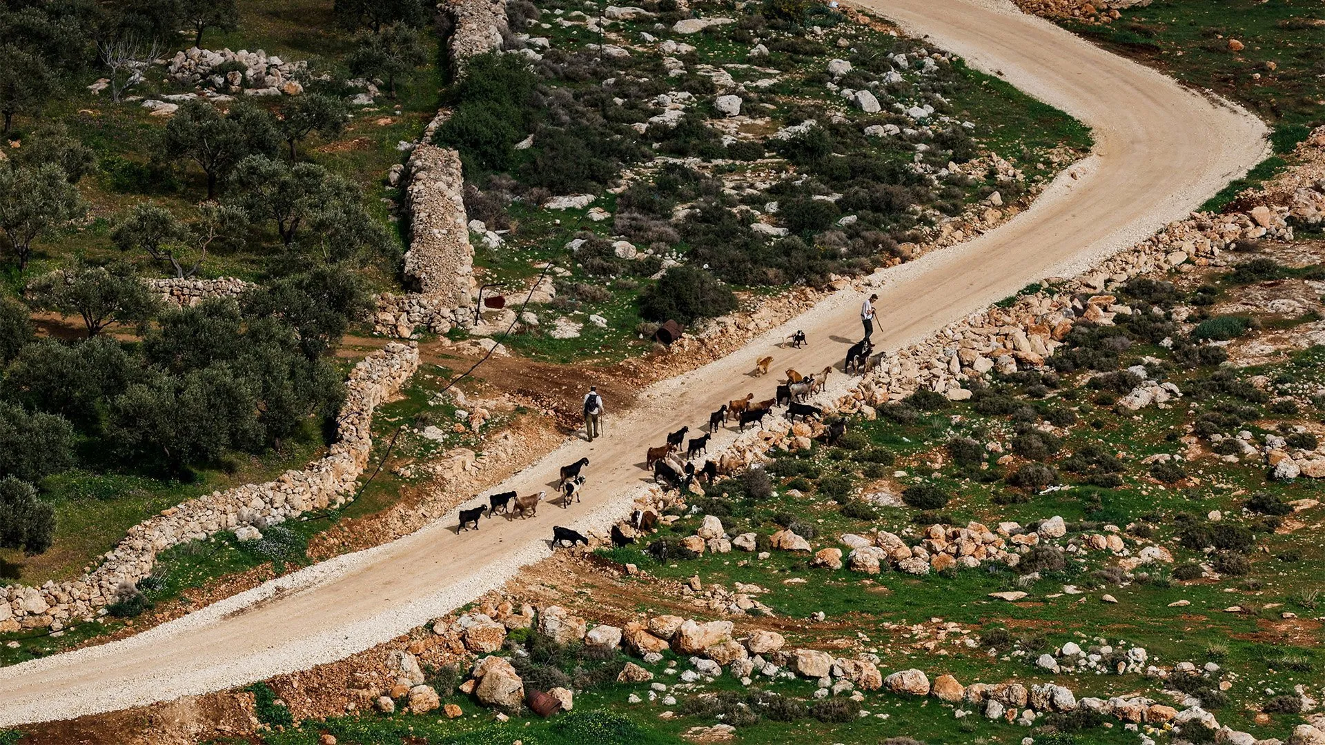 „Un pic prea târziu, dar important”: Marea Britanie interzice importul de mărfuri din coloniile israeliene